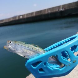 キス狙いのはずが、、、