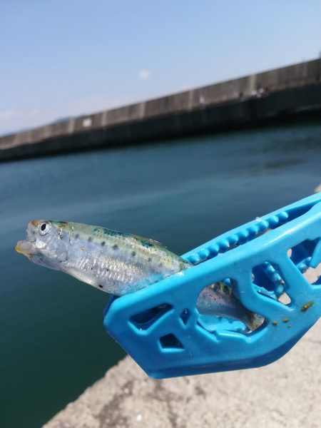 キス狙いのはずが、、、