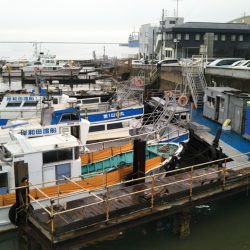 岸和田一文字 北の沖