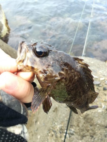 遠征なのにボロボロ貧果