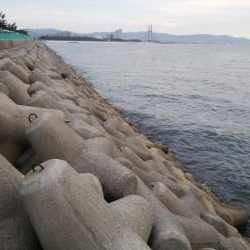 エギングとメバリング