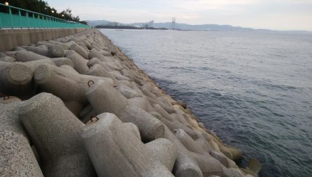 エギングとメバリング