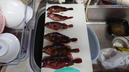 いつもの場所へ穴釣り