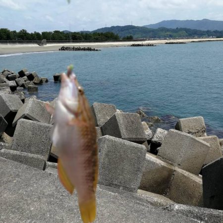 根魚ねらい