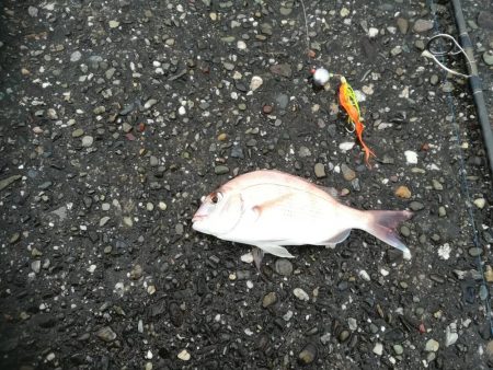 ショアジギング＆ショアラバ