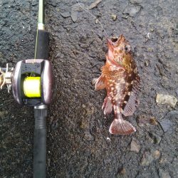 落とし込みでこの結果