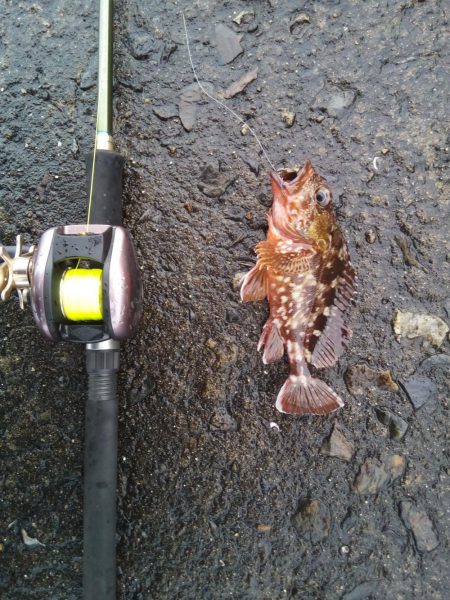 落とし込みでこの結果