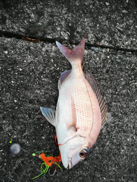 潮の下げ始めからショアラバ開始で、、、