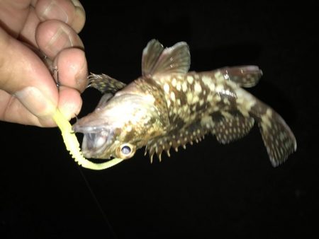 寄り道ガッシー