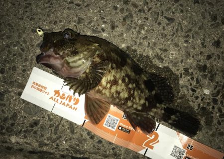 アジングしても結局ガッシー