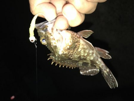 今夜もガッシーマンション！