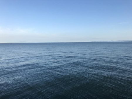 貝塚人工島にて