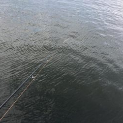 泉大津の砂上げ場。