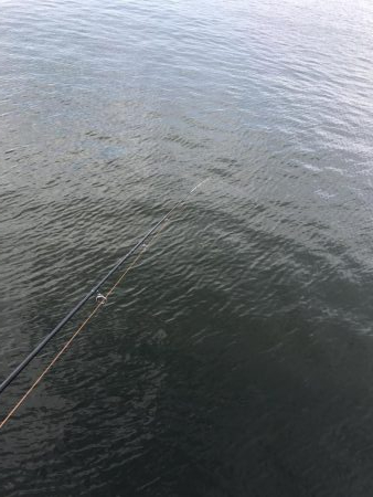 泉大津の砂上げ場。