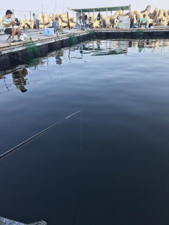 田尻の釣堀にて