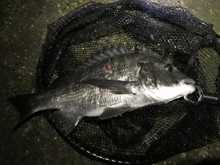 ナイトチニング