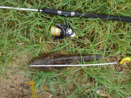 シブイ日でした