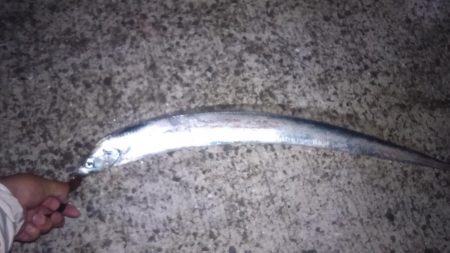 なんとか雨があがりそうなので和歌山紀ノ川ま…