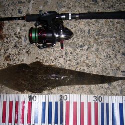 ワームのチョイ投げにて