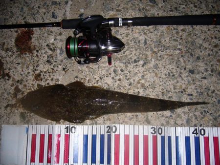 ワームのチョイ投げにて