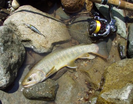 渓流ミノーイング