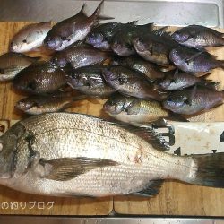 紀州釣りで1枚ゲット!