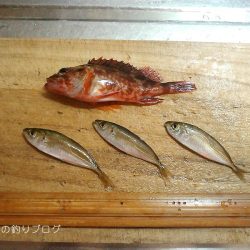 小1時間のファミリーフィッシング