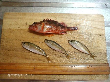 小1時間のファミリーフィッシング