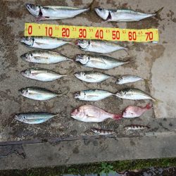 大アジ五目釣行(泉州丸)