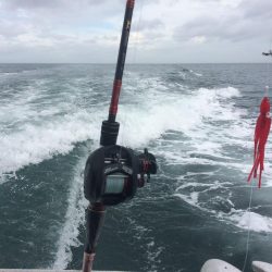 船タコ釣り　良型多し