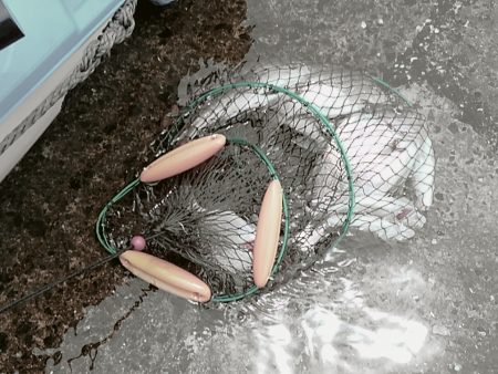 ボートタイラバ