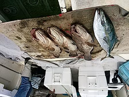 大物釣果速報！●光義丸：平戸市早福港