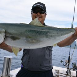 ジギング船 BLUEWATER 釣果