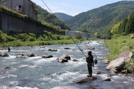 狩野川(狩野川漁業協同組合) 釣果