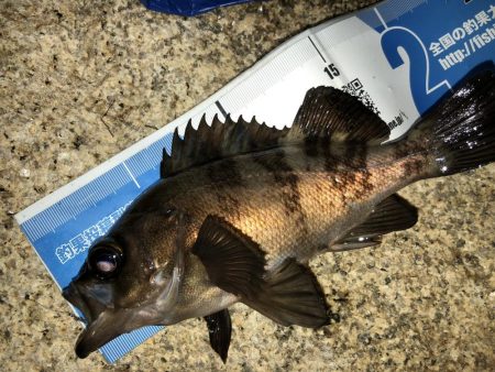 会社帰りプチメバル