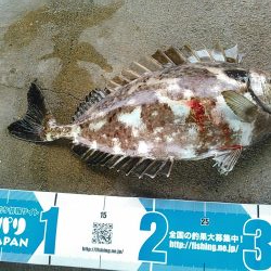 弁天島 エサ釣り