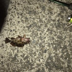 出勤前に。part 3