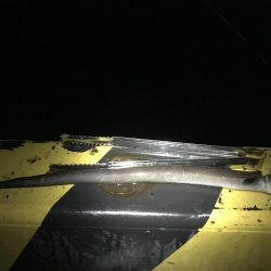 友人と五目釣り!