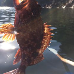 高浜　音海での手漕ぎボート