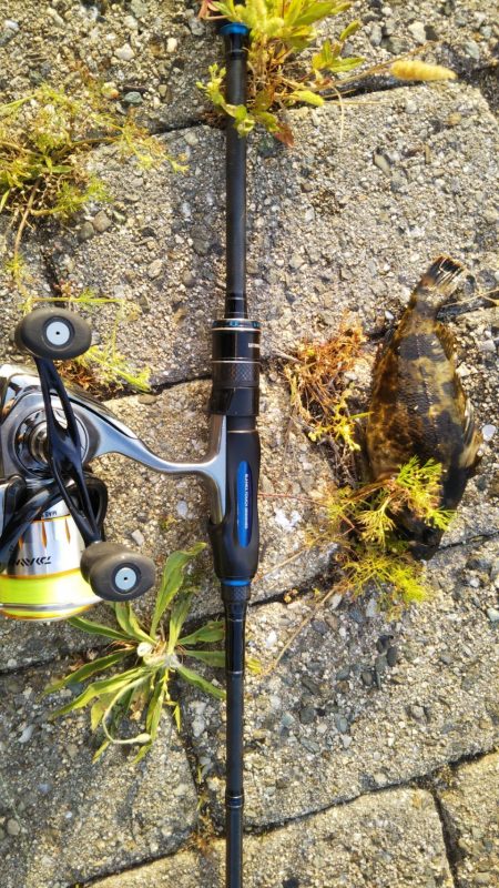 つかの間の日中ショートゲーム