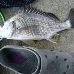 雨がやん出る間に