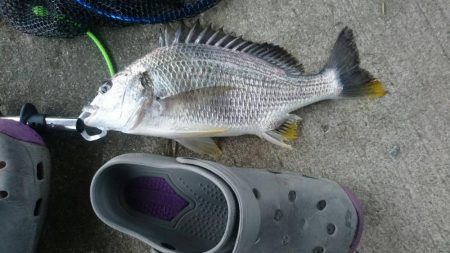 雨がやん出る間に