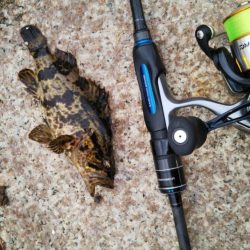 本気のタケノコ狩り