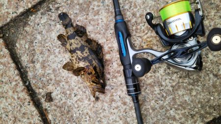 本気のタケノコ狩り