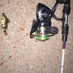 本気のメバリング〜明石〜