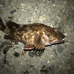 ちょっとだけリベンジ？