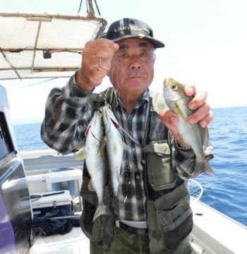 土佐安芸のハマちゃん