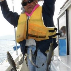 土佐安芸のハマちゃんの釣果