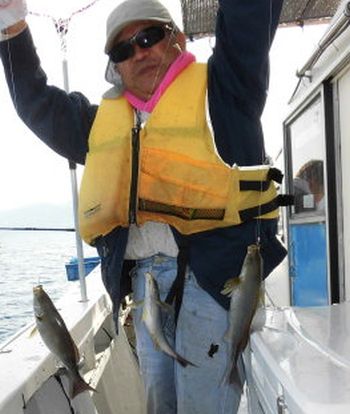 土佐安芸のハマちゃんの釣果