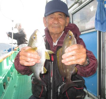 土佐安芸のハマちゃんの釣果